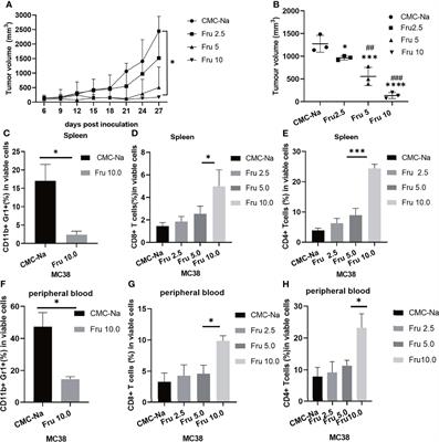 Fruquintinib Enhances the Antitumor Immune Responses of Anti-Programmed Death Receptor-1 in Colorectal Cancer